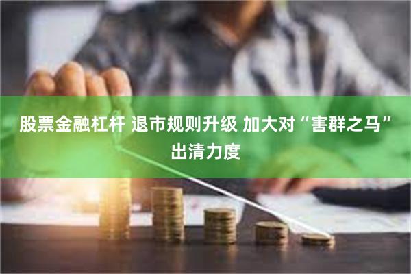 股票金融杠杆 退市规则升级 加大对“害群之马”出清力度