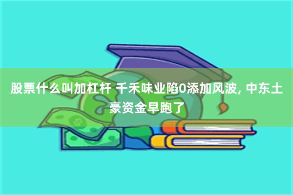 股票什么叫加杠杆 千禾味业陷0添加风波, 中东土豪资金早跑了