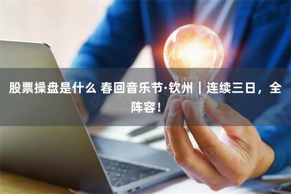 股票操盘是什么 春回音乐节·钦州｜连续三日，全阵容！