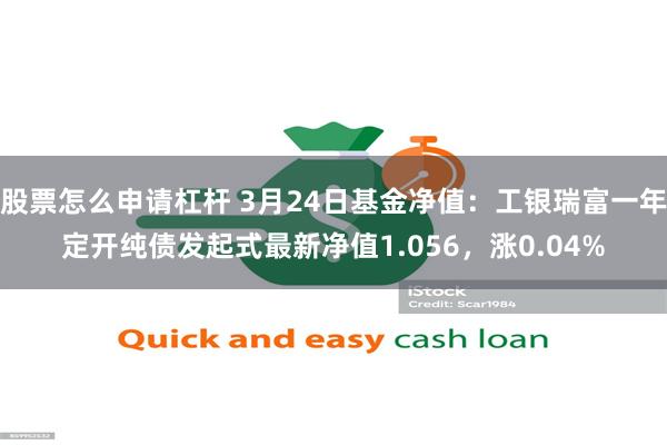股票怎么申请杠杆 3月24日基金净值：工银瑞富一年定开纯债发起式最新净值1.056，涨0.04%
