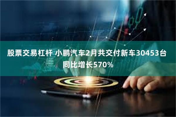 股票交易杠杆 小鹏汽车2月共交付新车30453台 同比增长570%